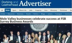 FSB Business Awards Winner Dorking Advertiser