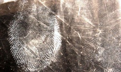 Corporate Fingerprinting London